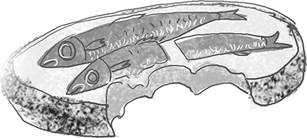 Иллюстрация к книге — Таинственный Ктототам [i_070.jpg]