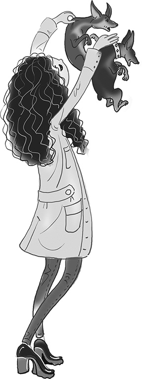 Иллюстрация к книге — Таинственный Ктототам [i_075.jpg]