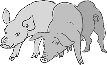 Иллюстрация к книге — Таинственный Ктототам [i_092.jpg]