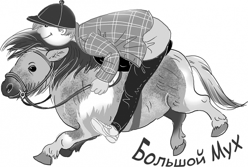 Иллюстрация к книге — Таинственный Ктототам [i_101.jpg]