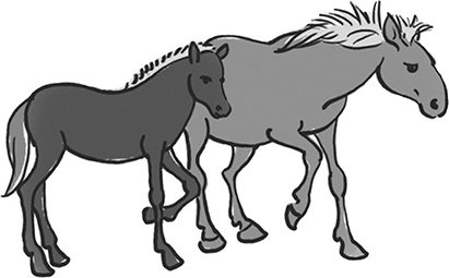 Иллюстрация к книге — Таинственный Ктототам [i_107.jpg]