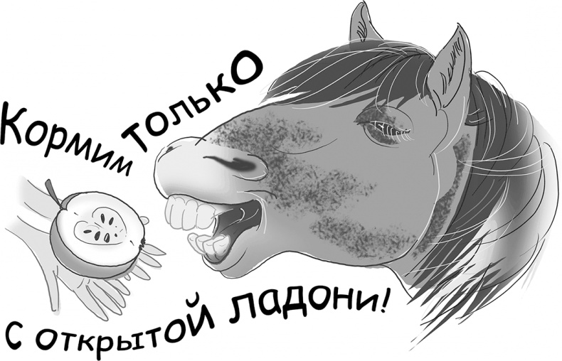 Иллюстрация к книге — Таинственный Ктототам [i_109.jpg]