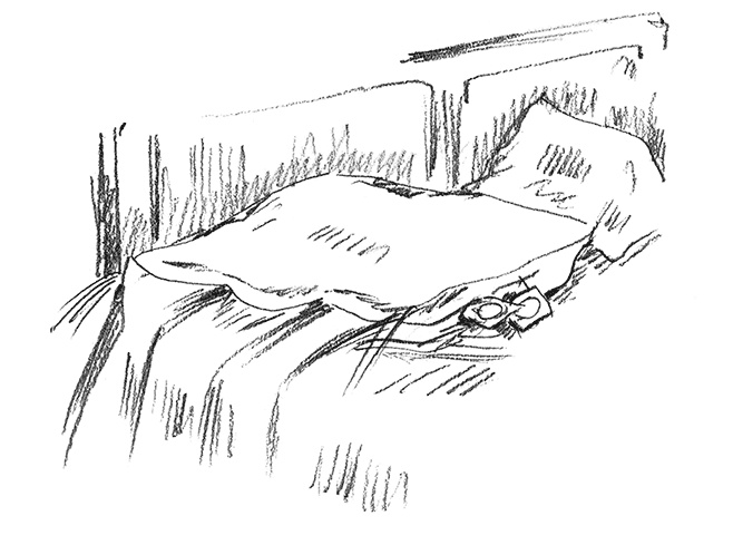 Иллюстрация к книге — Француженки не заедают слезы шоколадом [i_012.jpg]