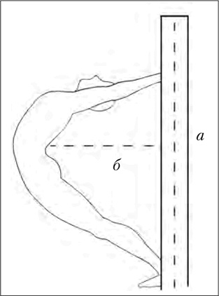 Иллюстрация к книге — Двигательная активность и здоровье. От лечебной гимнастики до паркура [i_009.jpg]