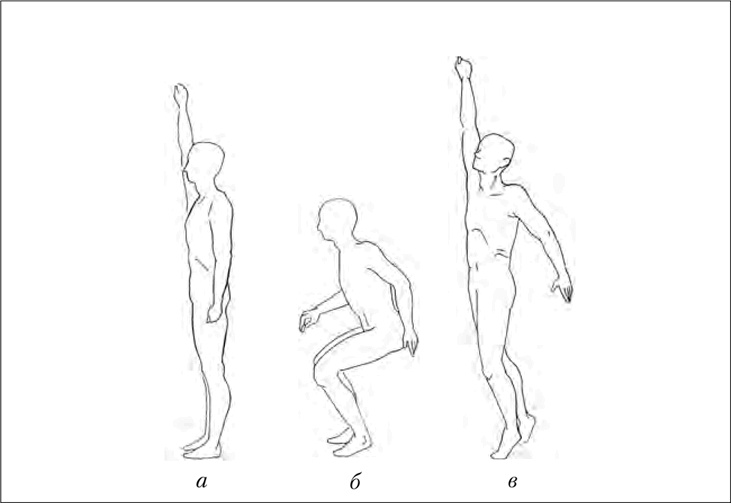 Иллюстрация к книге — Двигательная активность и здоровье. От лечебной гимнастики до паркура [i_011.jpg]
