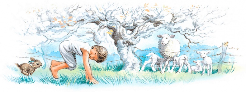 Иллюстрация к книге — Маруся - подружка всех зверят. В лесу. В деревне [i_005.jpg]