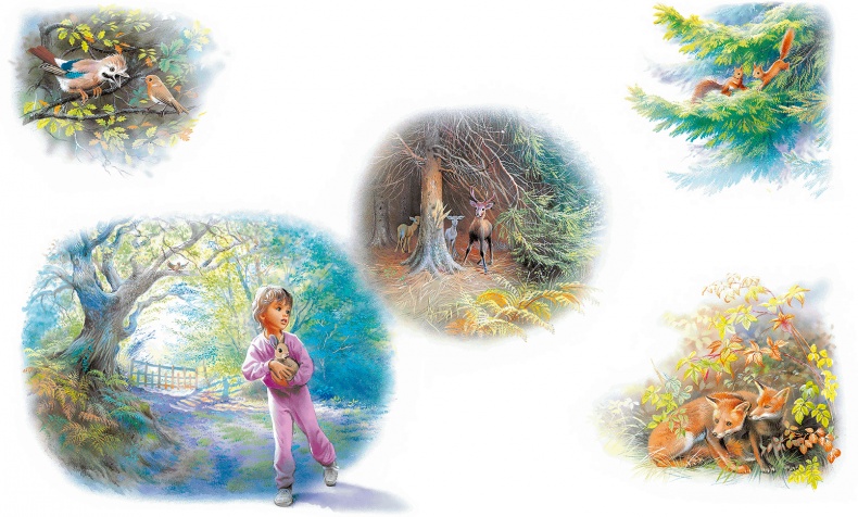 Иллюстрация к книге — Маруся - подружка всех зверят. В лесу. В деревне [i_010.jpg]