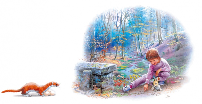 Иллюстрация к книге — Маруся - подружка всех зверят. В лесу. В деревне [i_012.jpg]
