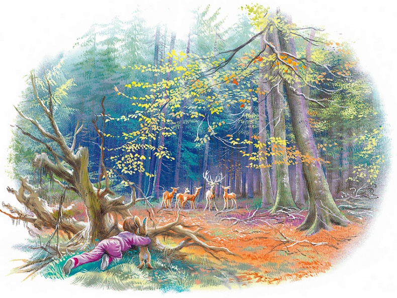 Иллюстрация к книге — Маруся - подружка всех зверят. В лесу. В деревне [i_019.jpg]