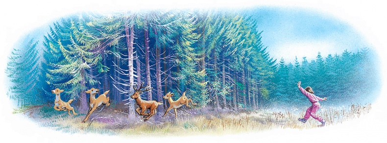 Иллюстрация к книге — Маруся - подружка всех зверят. В лесу. В деревне [i_020.jpg]