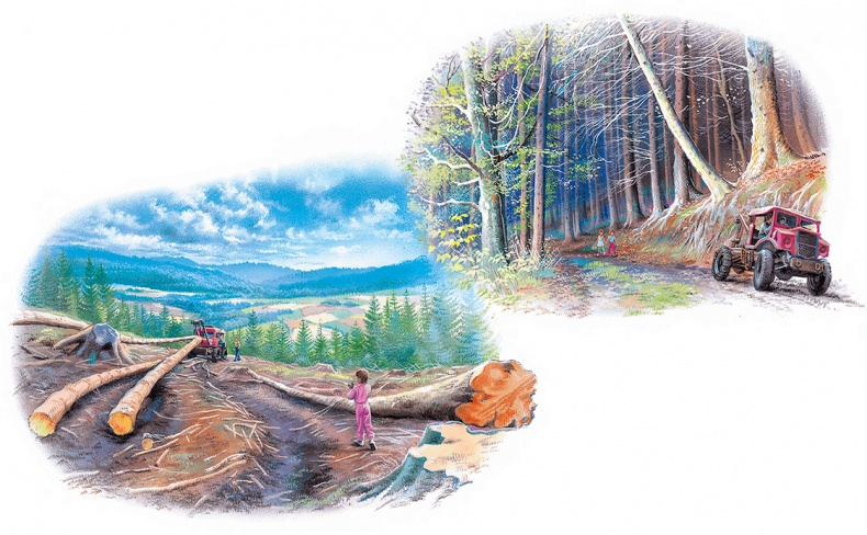 Иллюстрация к книге — Маруся - подружка всех зверят. В лесу. В деревне [i_021.jpg]