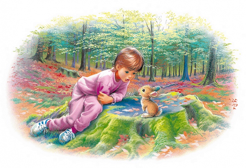 Иллюстрация к книге — Маруся - подружка всех зверят. В лесу. В деревне [i_024.jpg]