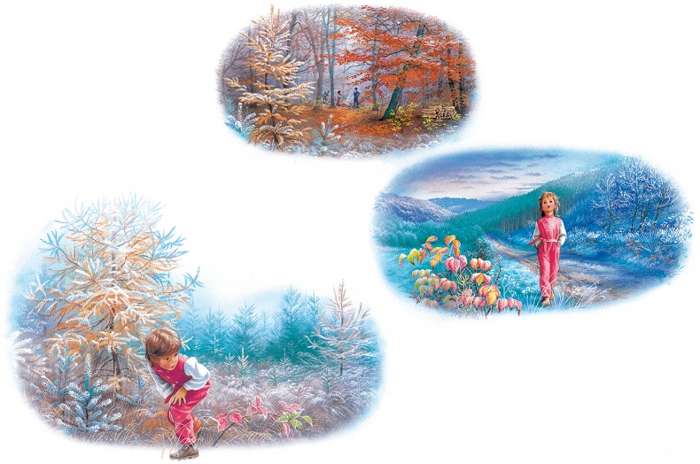 Иллюстрация к книге — Маруся - подружка всех зверят. В лесу. В деревне [i_025.jpg]