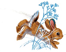 Иллюстрация к книге — Маруся - подружка всех зверят. В лесу. В деревне [i_026.jpg]