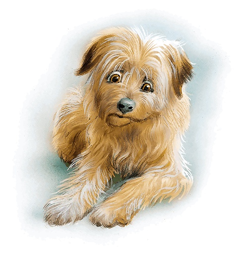 Иллюстрация к книге — Маруся - подружка всех зверят. В лесу. В деревне [i_037.jpg]