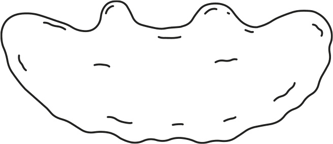 Иллюстрация к книге — Дневник слабака 3. Последняя капля [i_227.jpg]