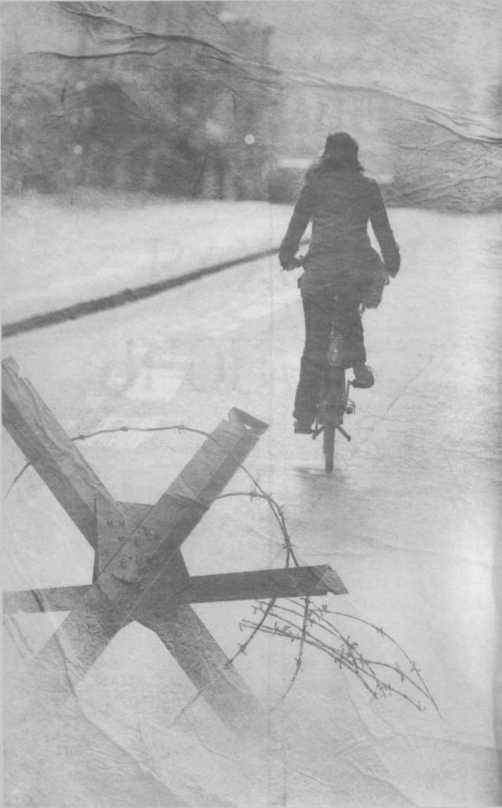 Иллюстрация к книге — Тихая ночь [i_001.jpg]