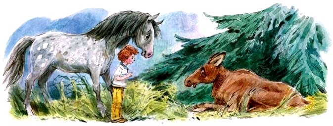 Иллюстрация к книге — Счастливо, Ивушкин! [pic_12.jpg]