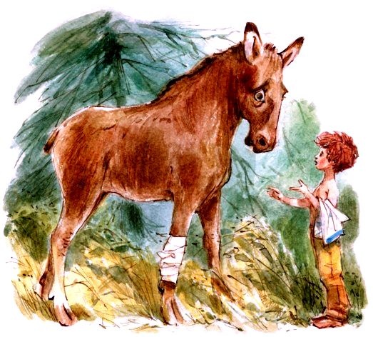 Иллюстрация к книге — Счастливо, Ивушкин! [pic_13.jpg]