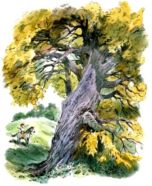 Иллюстрация к книге — Счастливо, Ивушкин! [pic_18.jpg]