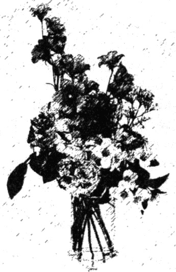 Иллюстрация к книге — Птица без крыльев [i_005.jpg]