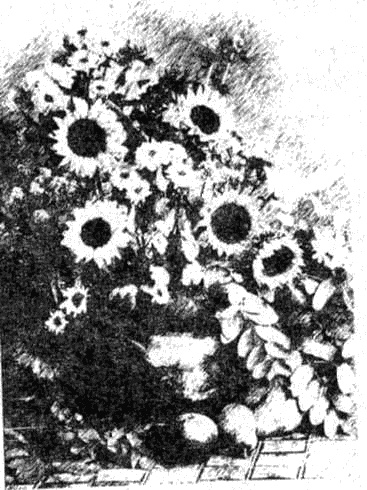 Иллюстрация к книге — Птица без крыльев [i_010.jpg]