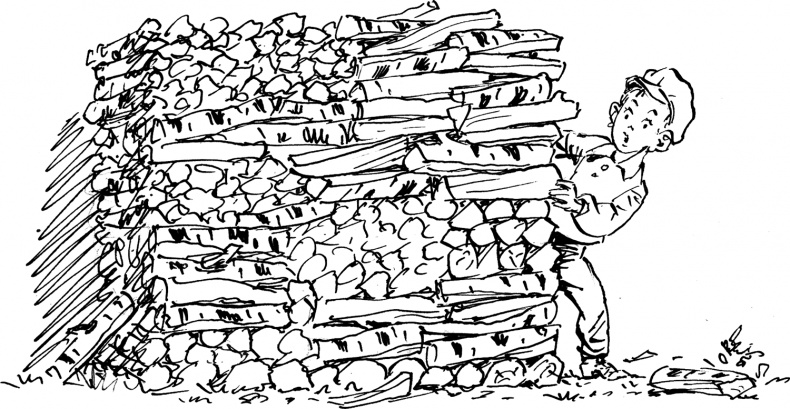 Иллюстрация к книге — Жизнь и страдания Ивана Семёнова, второклассника и второгодника [i_019.jpg]