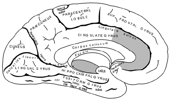 Иллюстрация к книге — Управляй будущим. Как принимать решения в условиях неопределенности [i_034.jpg]