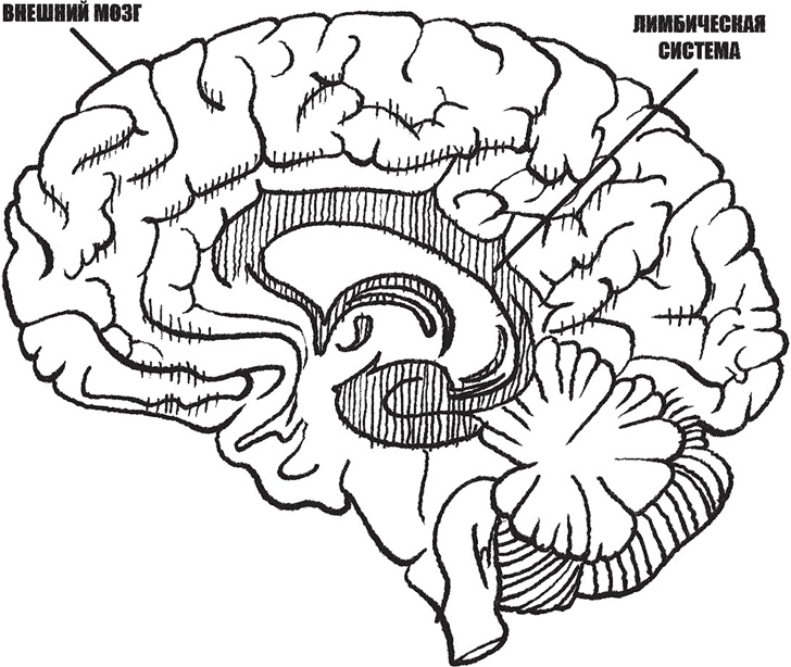 Иллюстрация к книге — Большая книга про вас и вашего ребенка [_4.jpg]