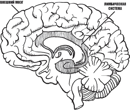 Иллюстрация к книге — Большая книга про вас и вашего ребенка [_9.jpg]