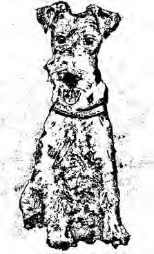 Иллюстрация к книге — Лелик и горячие доски [i_004.jpg]