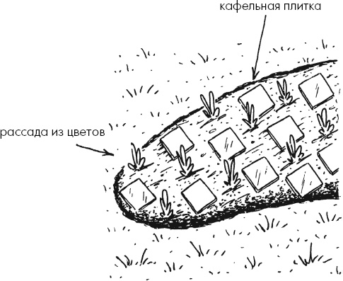 Иллюстрация к книге — Главные секреты вашего сада и огорода (переиздание) [_17.jpg]