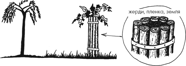 Иллюстрация к книге — Главные секреты вашего сада и огорода (переиздание) [_22.jpg]