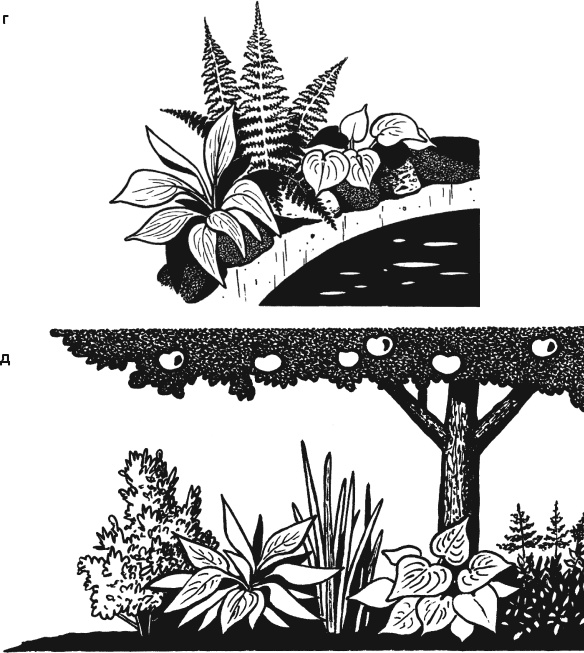 Иллюстрация к книге — Главные секреты вашего сада и огорода (переиздание) [_24.jpg]