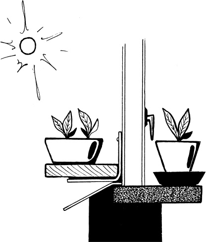 Иллюстрация к книге — Главные секреты вашего сада и огорода (переиздание) [_52.jpg]