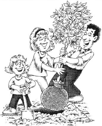 Иллюстрация к книге — Главные секреты вашего сада и огорода (переиздание) [_56.jpg]