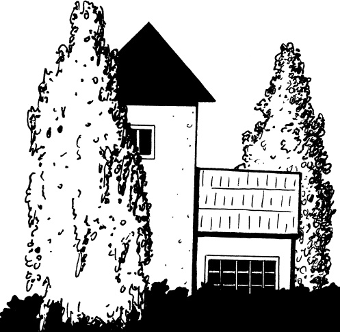 Иллюстрация к книге — Главные секреты вашего сада и огорода (переиздание) [_62.jpg]