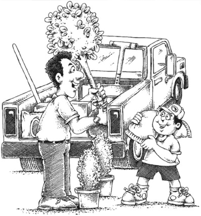 Иллюстрация к книге — Главные секреты вашего сада и огорода (переиздание) [_71.jpg]