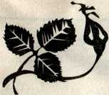 Иллюстрация к книге — Украденные ночи [i_001.jpg]