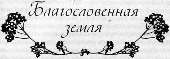 Иллюстрация к книге — Украденные ночи [i_005.jpg]