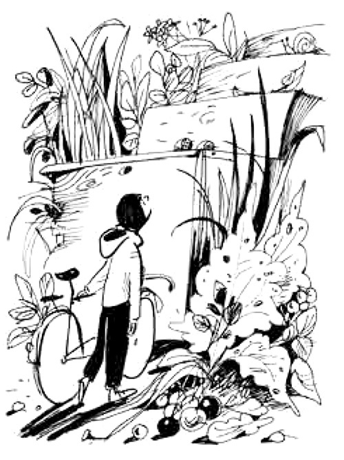 Иллюстрация к книге — Вилли [i_019.jpg]