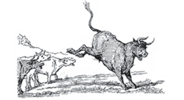 Иллюстрация к книге — Дюнас и его записки. Захудалый городок [i_013.jpg]