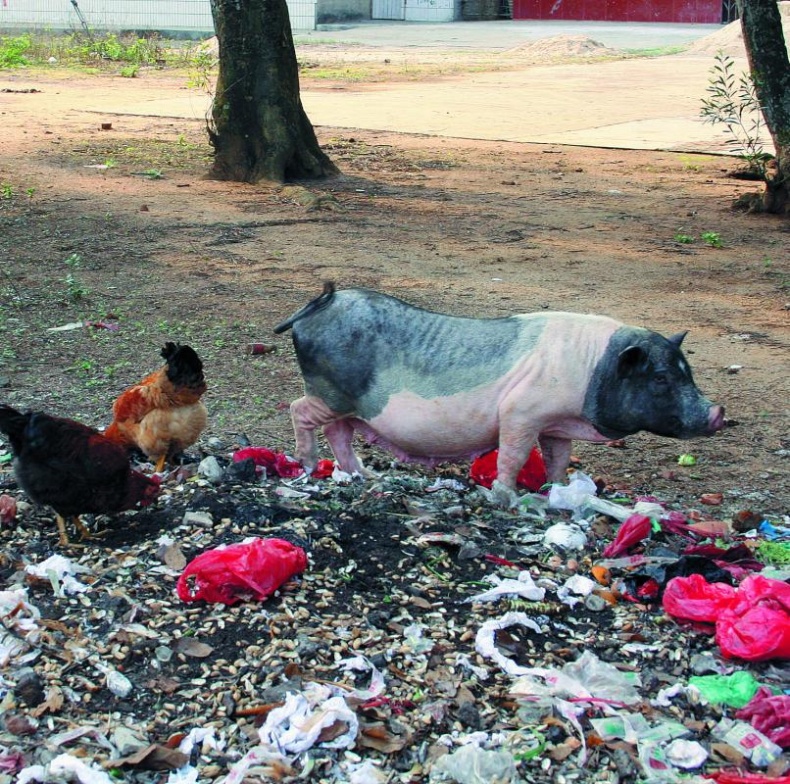 Иллюстрация к книге — &quot;Злой дворник&quot;. Чистая правда о грязной работе [_01.jpg]