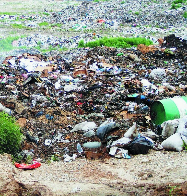 Иллюстрация к книге — &quot;Злой дворник&quot;. Чистая правда о грязной работе [_08.jpg]