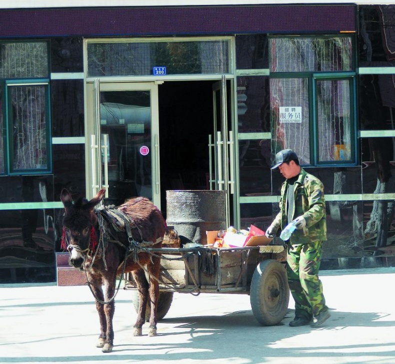 Иллюстрация к книге — &quot;Злой дворник&quot;. Чистая правда о грязной работе [_14.jpg]