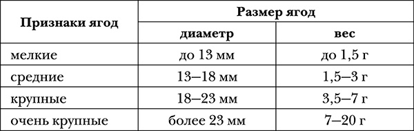 Иллюстрация к книге — Виноград на вашей даче. Растет не только на юге! [i_006.jpg]