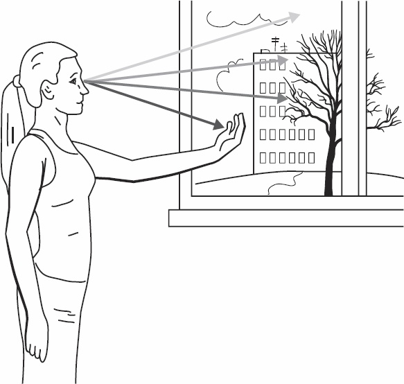 Иллюстрация к книге — Без очков. Восстановление зрения без лекарств [_08.jpg]