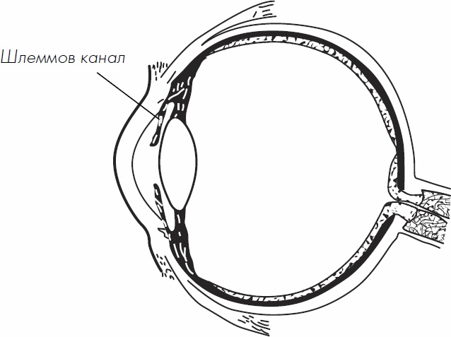 Иллюстрация к книге — Без очков. Восстановление зрения без лекарств [_11.jpg]