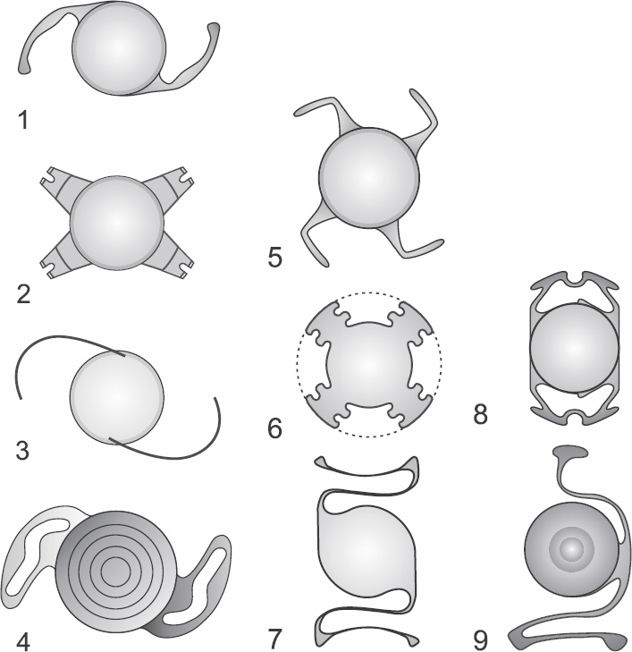 Иллюстрация к книге — Без очков. Восстановление зрения без лекарств [_22.jpg]