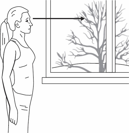 Иллюстрация к книге — Без очков. Восстановление зрения без лекарств [_24.jpg]